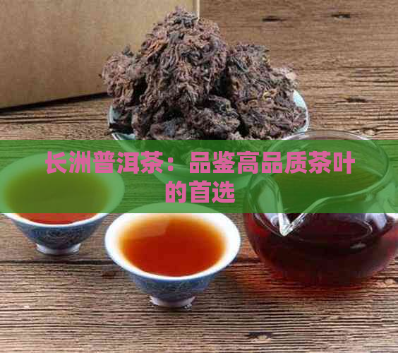 长洲普洱茶：品鉴高品质茶叶的首选