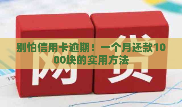 别怕信用卡逾期！一个月还款1000块的实用方法