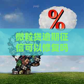 微粒贷逾期可以修复吗？逾期后多久没问题？怎么办？