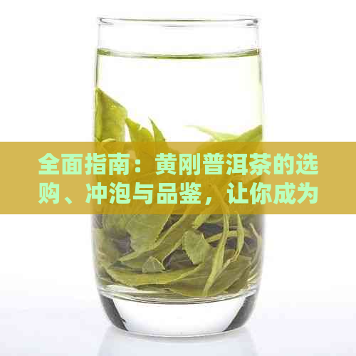 全面指南：黄刚普洱茶的选购、冲泡与品鉴，让你成为普洱茶专家