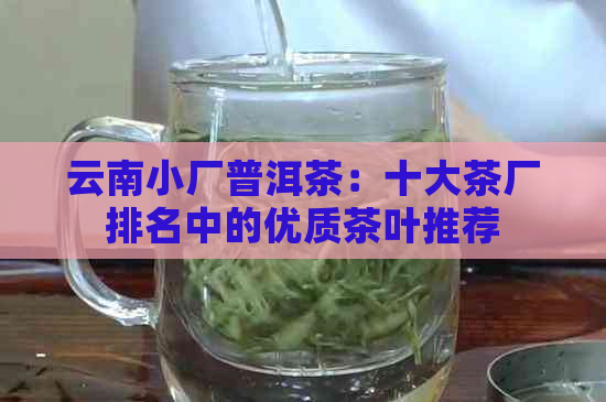 云南小厂普洱茶：十大茶厂排名中的优质茶叶推荐