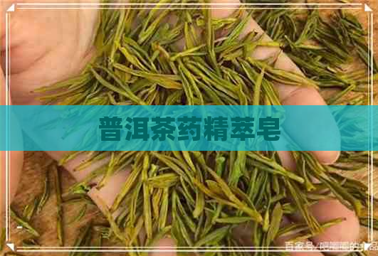 普洱茶药精萃皂