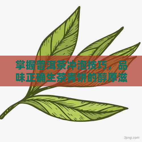 掌握普洱茶冲泡技巧，品味正确生茶青饼的醇厚滋味