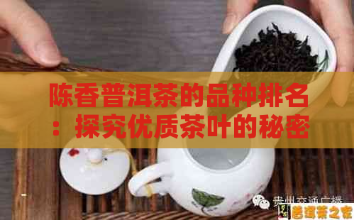 陈香普洱茶的品种排名：探究优质茶叶的秘密