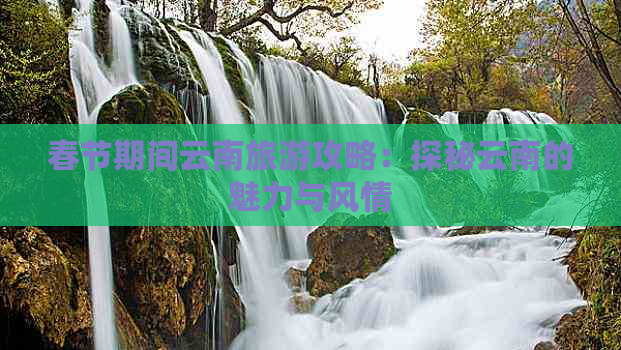 春节期间云南旅游攻略：探秘云南的魅力与风情