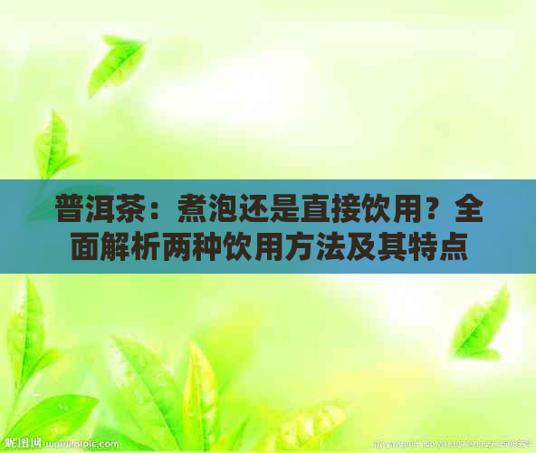 普洱茶：煮泡还是直接饮用？全面解析两种饮用方法及其特点