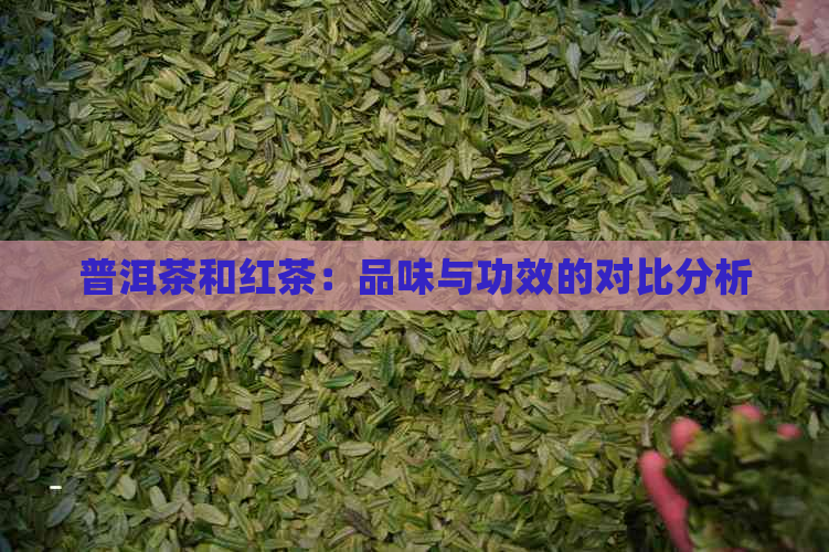 普洱茶和红茶：品味与功效的对比分析