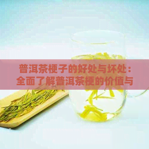 普洱茶梗子的好处与坏处：全面了解普洱茶梗的价值与影响