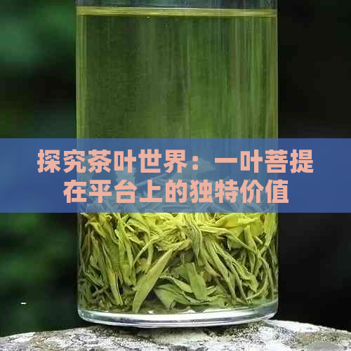 探究茶叶世界：一叶菩提在平台上的独特价值