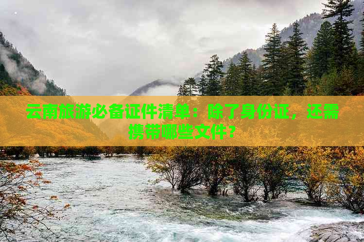 云南旅游必备证件清单：除了身份证，还需携带哪些文件？