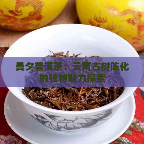 曼夕普洱茶：云南古树陈化的独特魅力探索