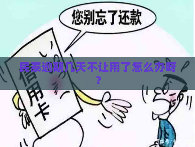 民泰逾期几天不让用了怎么办呀？