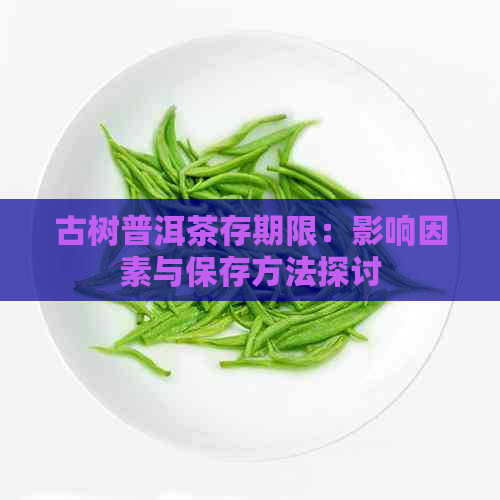 古树普洱茶存期限：影响因素与保存方法探讨