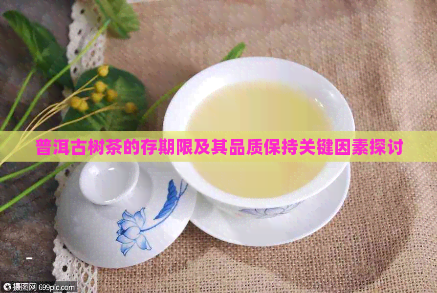 普洱古树茶的存期限及其品质保持关键因素探讨