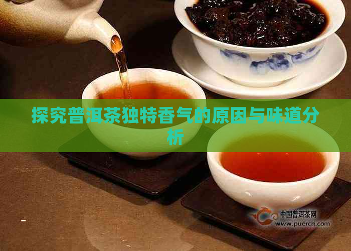 探究普洱茶独特香气的原因与味道分析