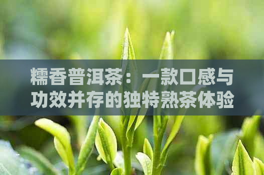 糯香普洱茶：一款口感与功效并存的独特熟茶体验