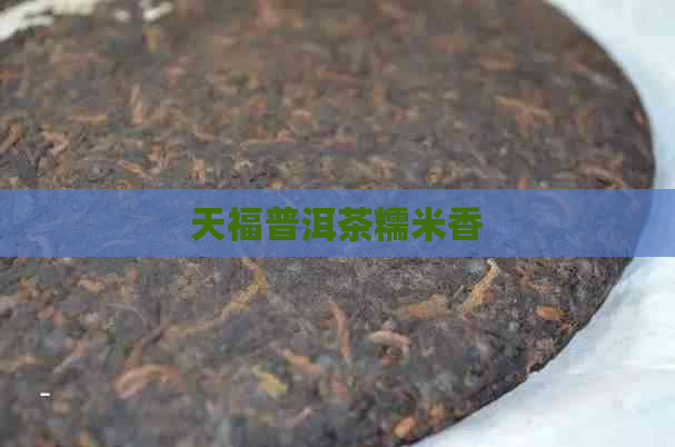 天福普洱茶糯米香