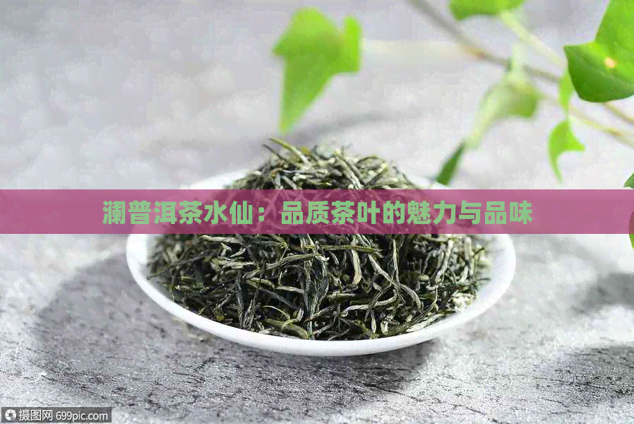 澜普洱茶水仙：品质茶叶的魅力与品味