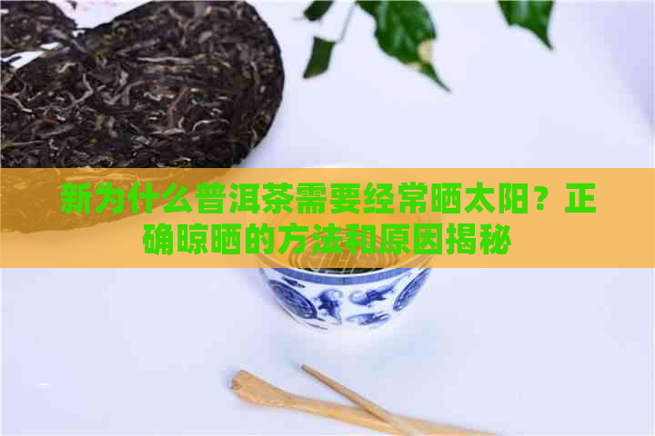 新为什么普洱茶需要经常晒太阳？正确晾晒的方法和原因揭秘