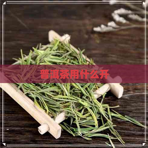 普洱茶用什么开