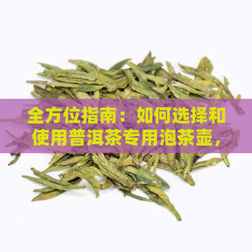 全方位指南：如何选择和使用普洱茶专用泡茶壶，让你品尝到最完美的普洱茶