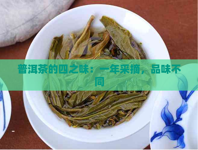 普洱茶的四之味：一年采摘，品味不同