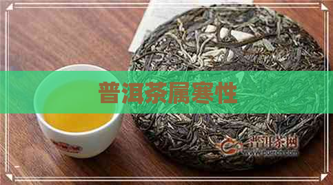 普洱茶属寒性