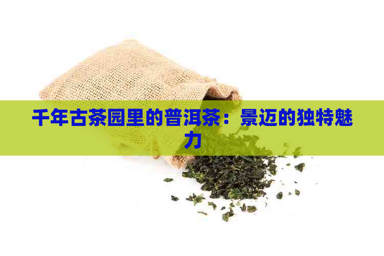 千年古茶园里的普洱茶：景迈的独特魅力