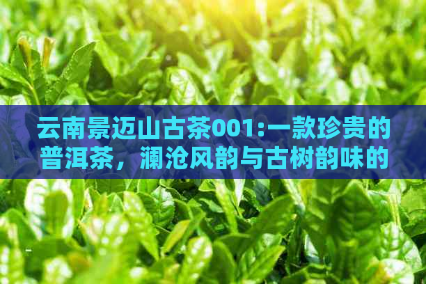 云南景迈山古茶001:一款珍贵的普洱茶，澜沧风韵与古树韵味的完美结合