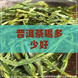 普洱茶喝多少好