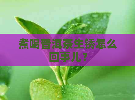 煮喝普洱茶生锈怎么回事儿？