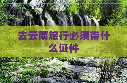 去云南旅行必须带什么证件