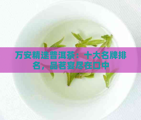 万安精选普洱茶：十大名牌排名，品茗宴尽在口中