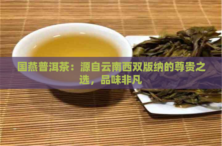 国燕普洱茶：源自云南西双版纳的尊贵之选，品味非凡