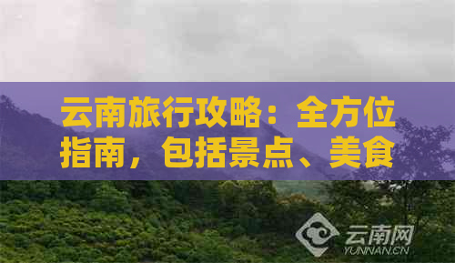 云南旅行攻略：全方位指南，包括景点、美食、住宿和交通等实用信息