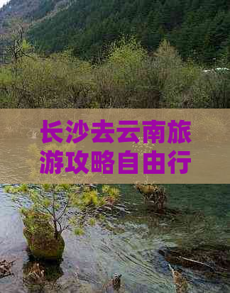 长沙去云南旅游攻略自由行路线一日游