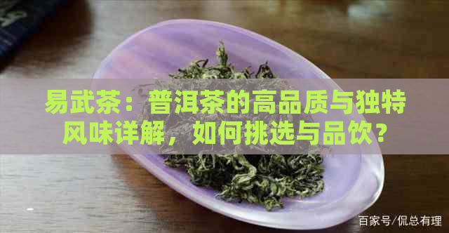 易武茶：普洱茶的高品质与独特风味详解，如何挑选与品饮？