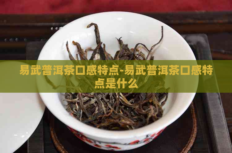 易武普洱茶口感特点-易武普洱茶口感特点是什么