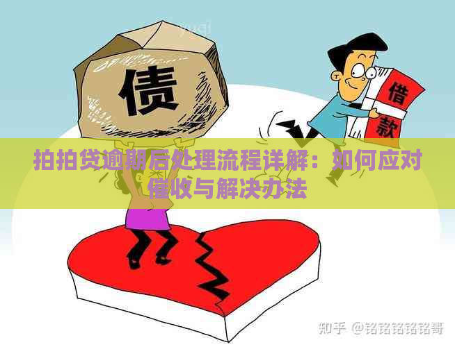 逾期后处理流程详解：如何应对与解决办法