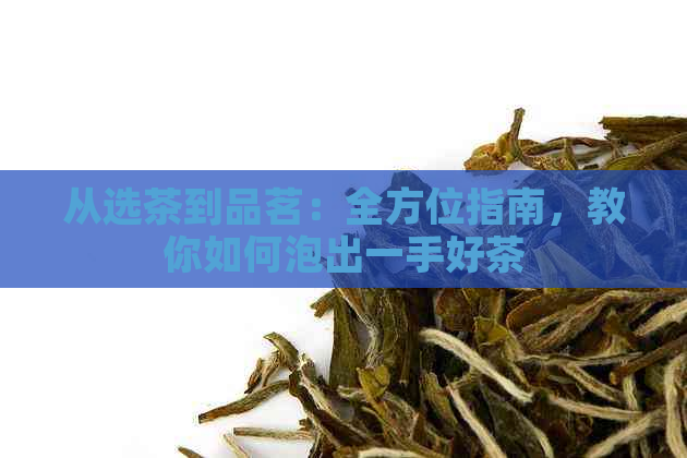 从选茶到品茗：全方位指南，教你如何泡出一手好茶