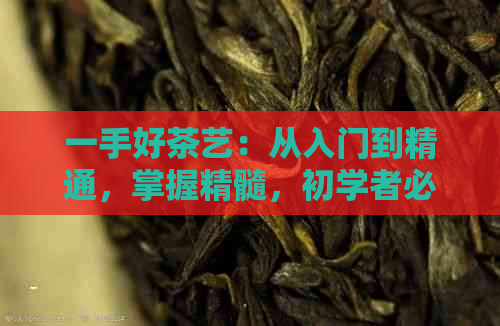 一手好茶艺：从入门到精通，掌握精髓，初学者必看！