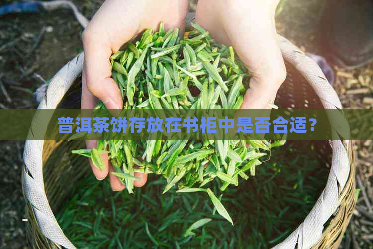 普洱茶饼存放在书柜中是否合适？