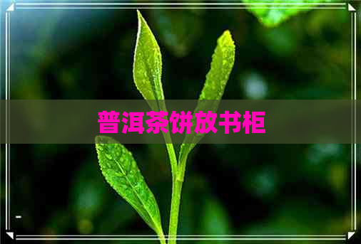 普洱茶饼放书柜