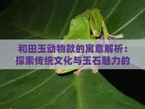 和田玉动物款的寓意解析：探索传统文化与玉石魅力的结合