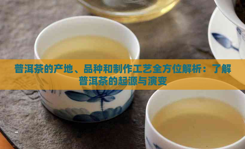 普洱茶的产地、品种和制作工艺全方位解析：了解普洱茶的起源与演变