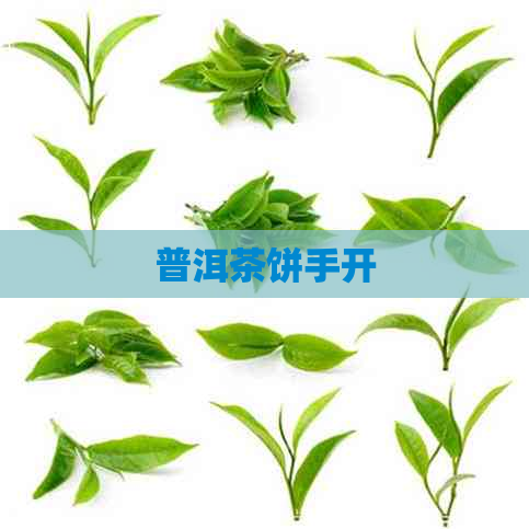 普洱茶饼手开