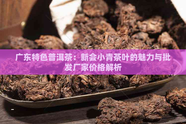 广东特色普洱茶：新会小青茶叶的魅力与批发厂家价格解析