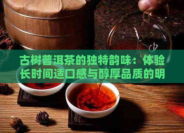 古树普洱茶的独特韵味：体验长时间适口感与醇厚品质的明显特点