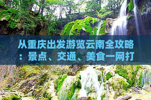 从重庆出发游览云南全攻略：景点、交通、美食一网打尽！