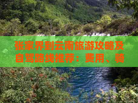 张家界到云南旅游攻略及自驾路线推荐：费用、骑行与首游城市详解